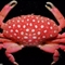海洋专家在台湾发现外形像草莓的螃蟹新物种
