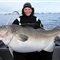欧洲海域捕获巨型鳕鱼 长1.45米重42公斤