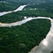 研究发现气候变暖 不会引起亚马逊古老树种绝灭