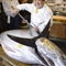 日本卖出天价金枪鱼 数量下降呼吁人类减少捕捞