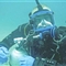 海底“过日子”两昼夜英男子打破潜水纪录