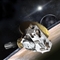 IAU为新发现冥王星及其卫星启动网络征名