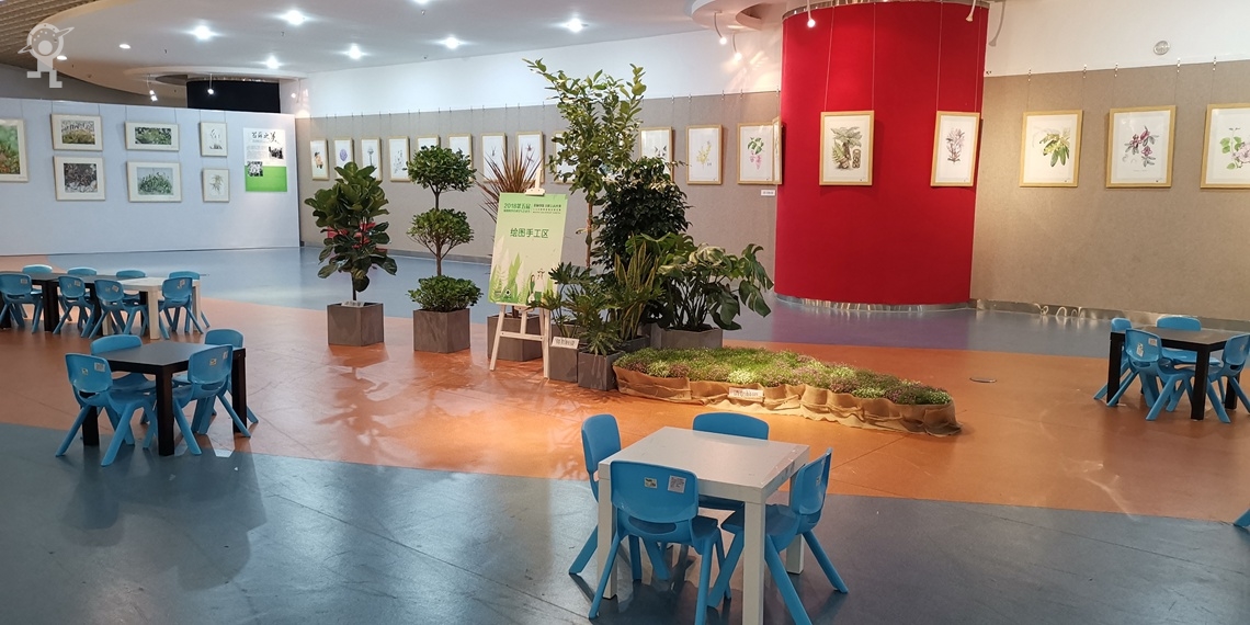 让梦飞翔——第五届深圳青少年科学与艺术节在少年宫开幕