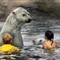 加拿大儿童与北极熊水中上演零距离接触