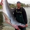 美国:140公斤鲨鱼"自投罗网" 跳上得州渔船