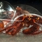 英国科学家为寄居蟹打造透明玻璃外壳