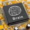 脑研究新突破 新型微芯片实时模拟大脑信息处理