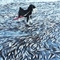 挪威奇观：海面结冰冻住鱼群