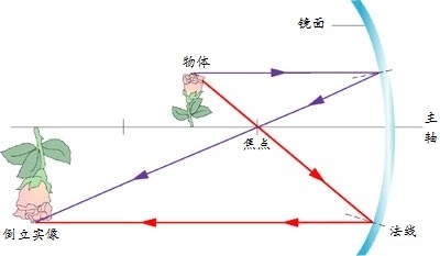 凹透镜成像的规律图图片