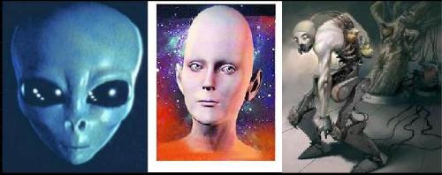 人类未来会进化成何种模样?